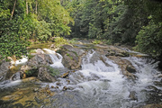 4th Jan 2016 - Rainforest Waterfall Sungai Sedim