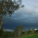 Storm a-comin by koalagardens