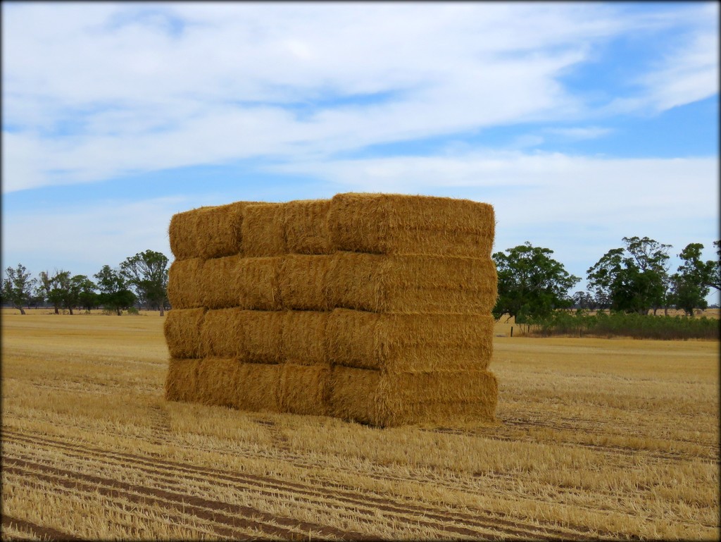hay bales by cruiser