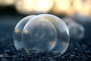6th Jan 2016 - Biting Cold Morning and Frozen Bubbles