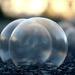 Biting Cold Morning and Frozen Bubbles by kerosene