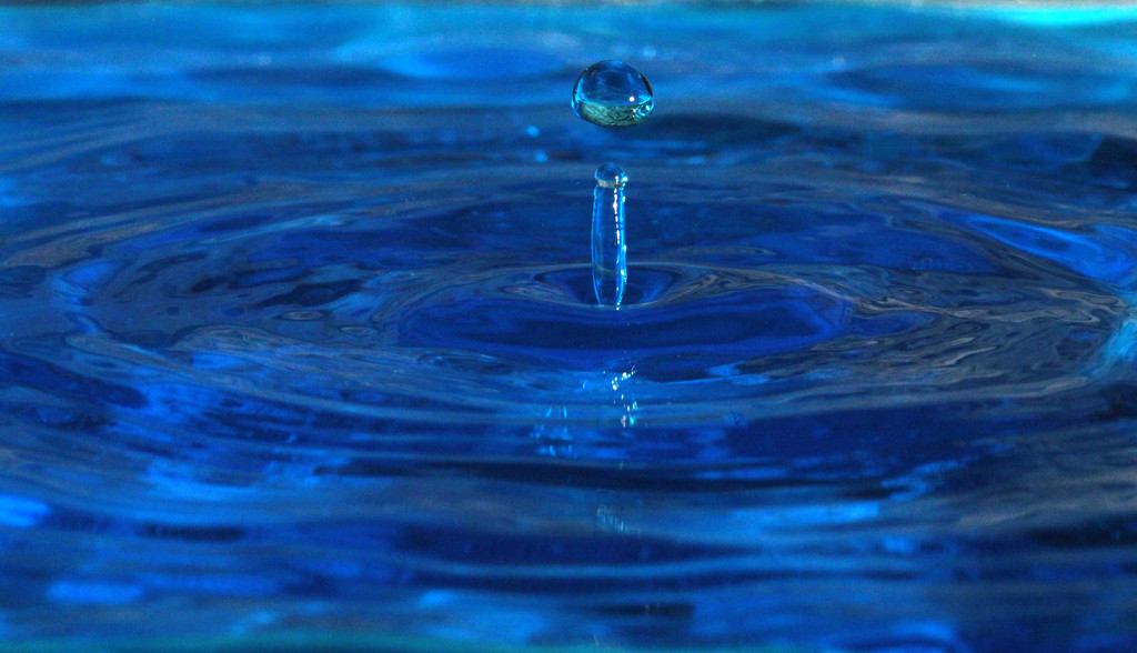 water droplets_61:365 by gaylewood