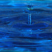 water droplets_61:365 by gaylewood