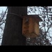 How Squirrels Stay Warm In Winter by bruni