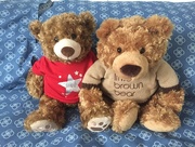 4th Jan 2016 - Teddies