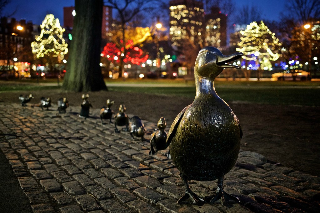 Make Way for Ducklings! by jyokota