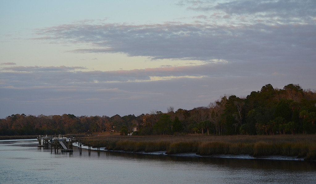 Ashley River at Magnolia Gardens, Charleston, SC by congaree