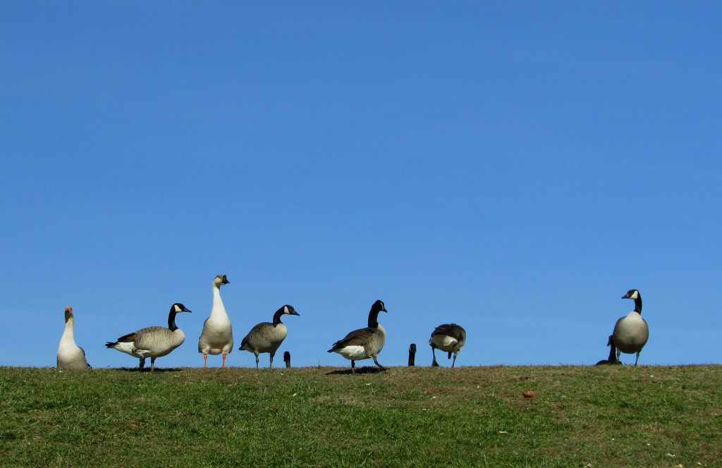 Yesterday's Blue Sky by tunia