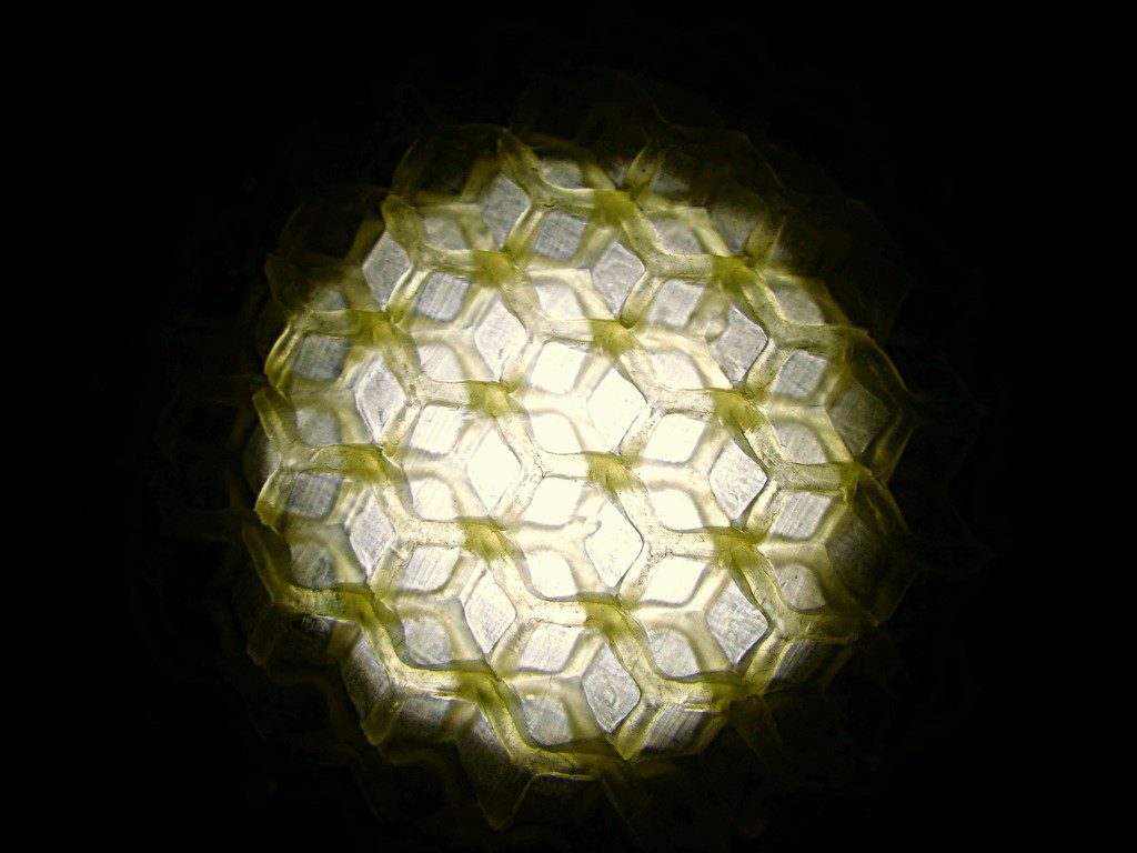 Bees wax detail.   by jokristina