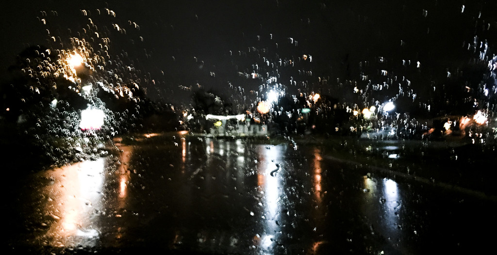 Rain by erinhull