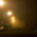 Fog by erinhull