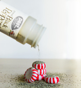 8th Jan 2016 - (Day 329) - PEPPERMint