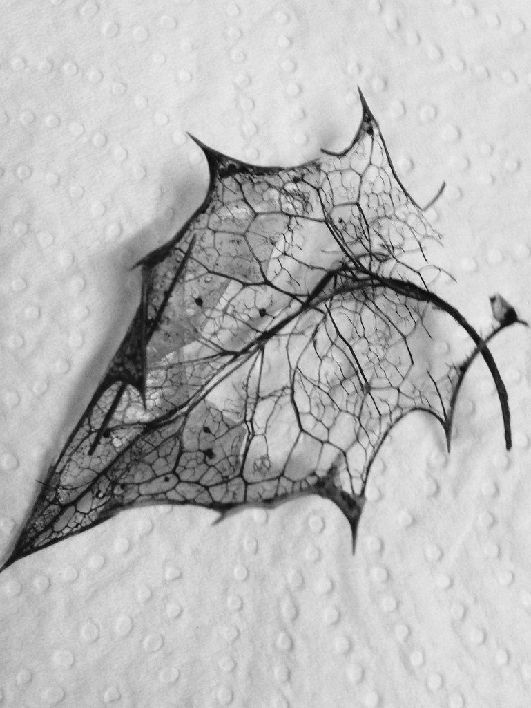 Skeletal leaf mono by denidouble
