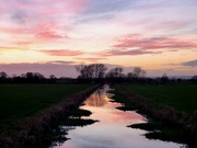 9th Jan 2016 - Winter evening on the Somerset Levels
