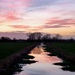 Winter evening on the Somerset Levels by julienne1