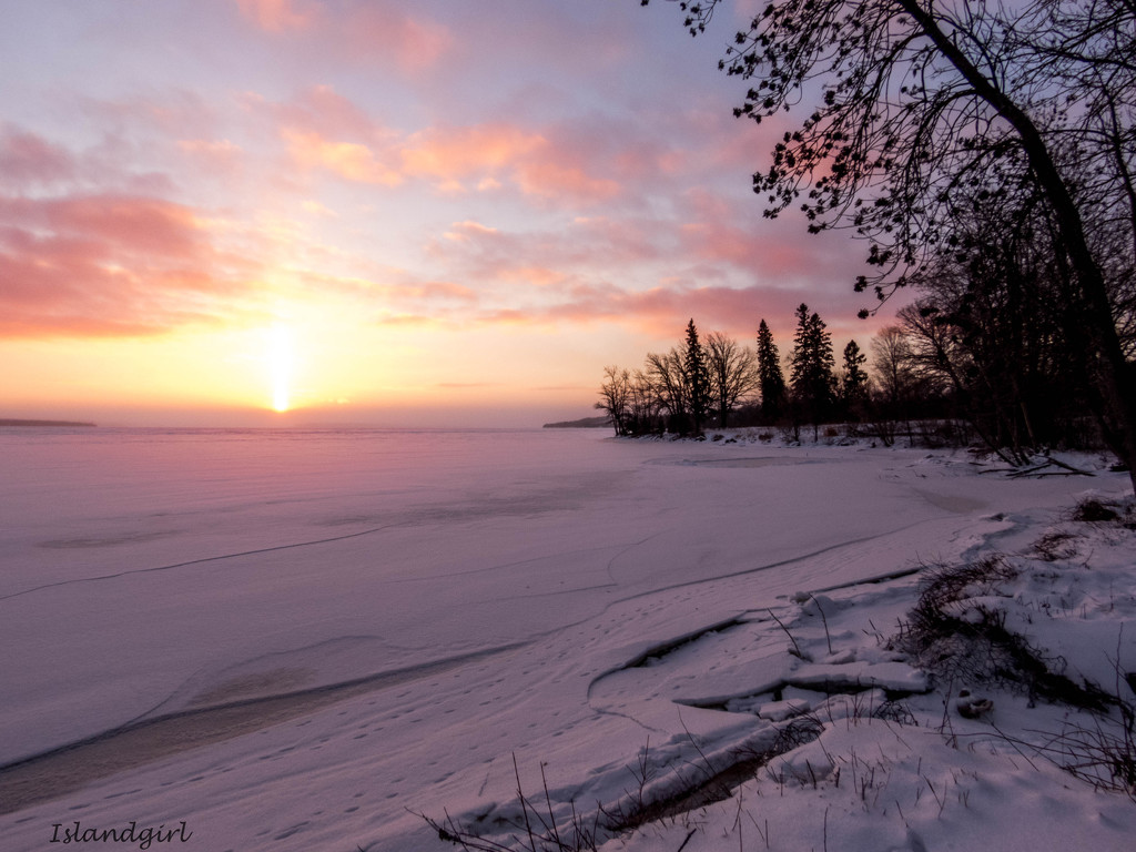 Winter sunrise   by radiogirl