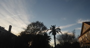 10th Jan 2016 - Charleston, SC street at dusk