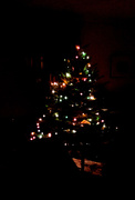 8th Jan 2016 - Last night of the tree