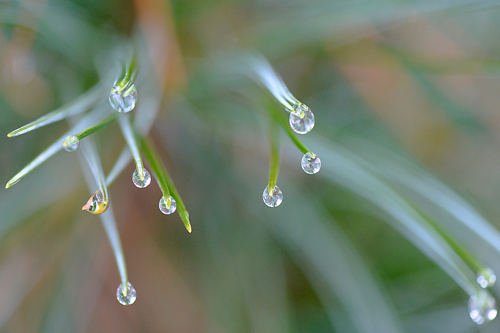 Burst of Droplets! by fayefaye