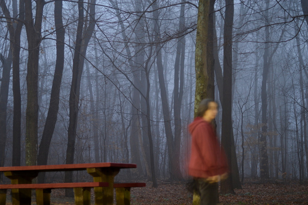ghostly figure at the rest stop by francoise