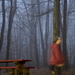 ghostly figure at the rest stop by francoise