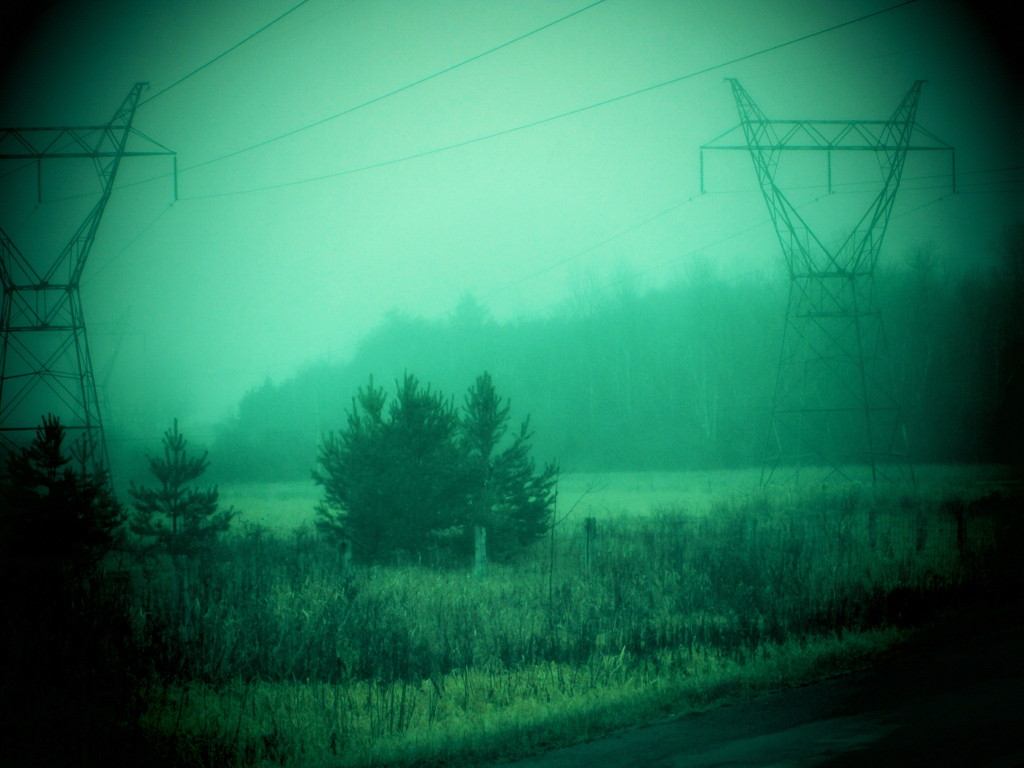 Misty morning by bruni