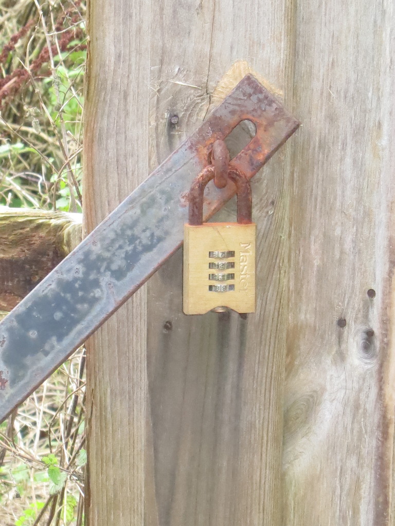 Rusty Lock by davemockford