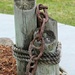 Relic Chain From San Francisco Bay Front by markandlinda