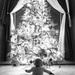 #1 Christmas Tree by juletee