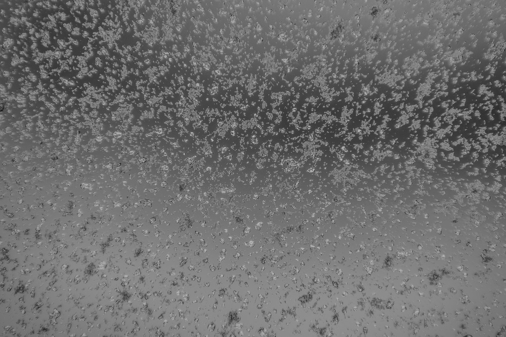 rain snow ice oh my! by jackies365