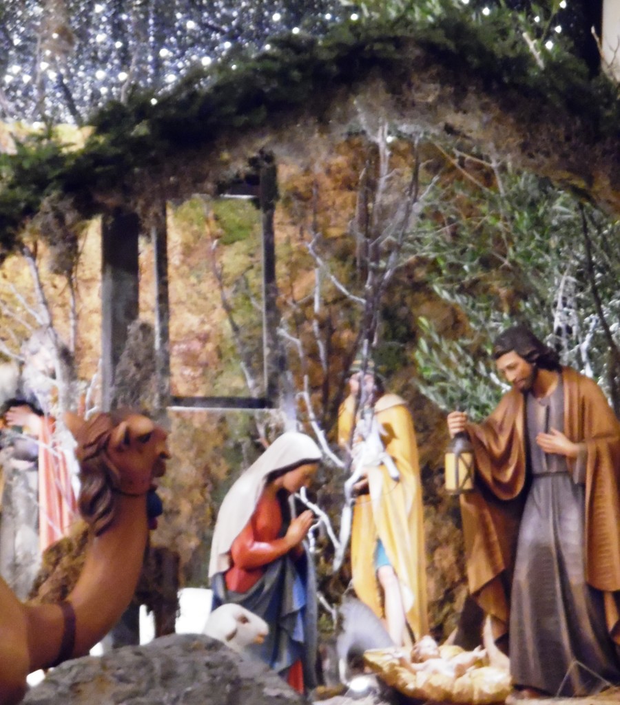 Nativity by jnadonza