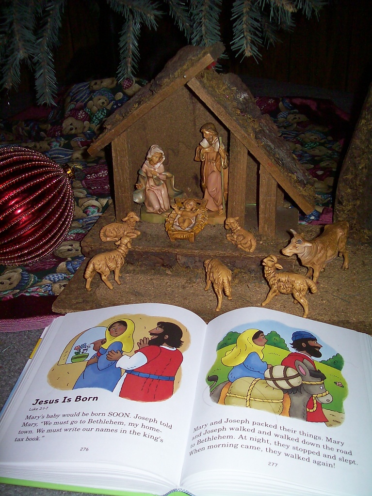 Jesus is the Reason for the Season by julie