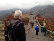 12th Nov 2015 - Great Wall Fav