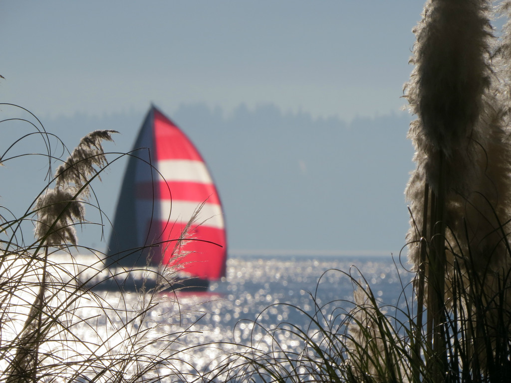 Red Sails by seattlite