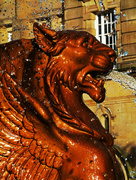 11th Jan 2016 - A Leicester Lion