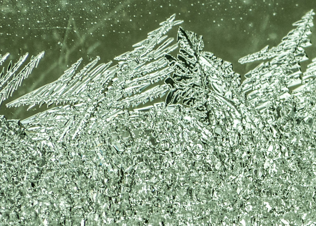Ice Crystals by rminer
