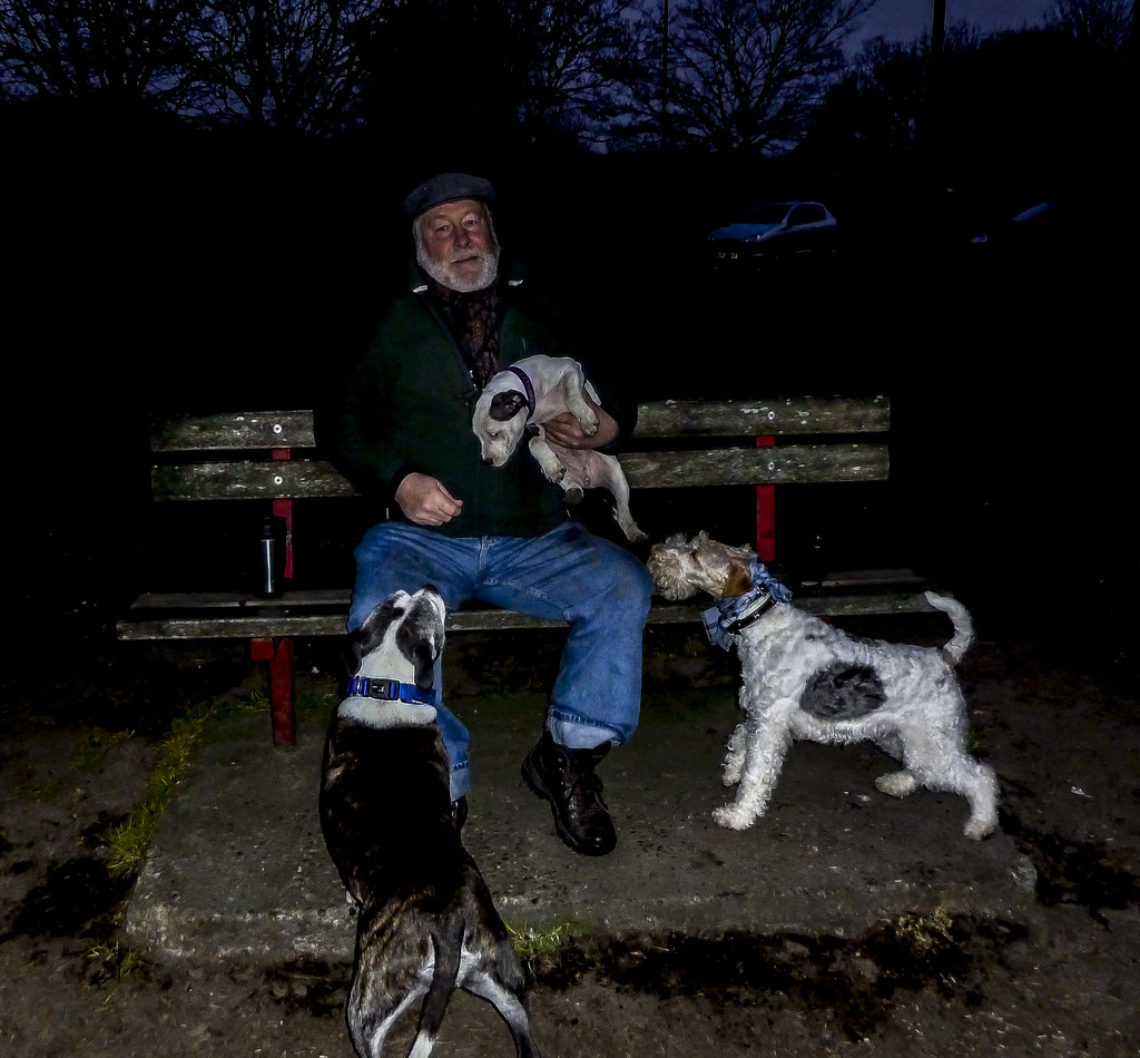 One Man & Three Dogs by tonygig