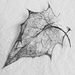 Skeletal leaf Noir by denidouble