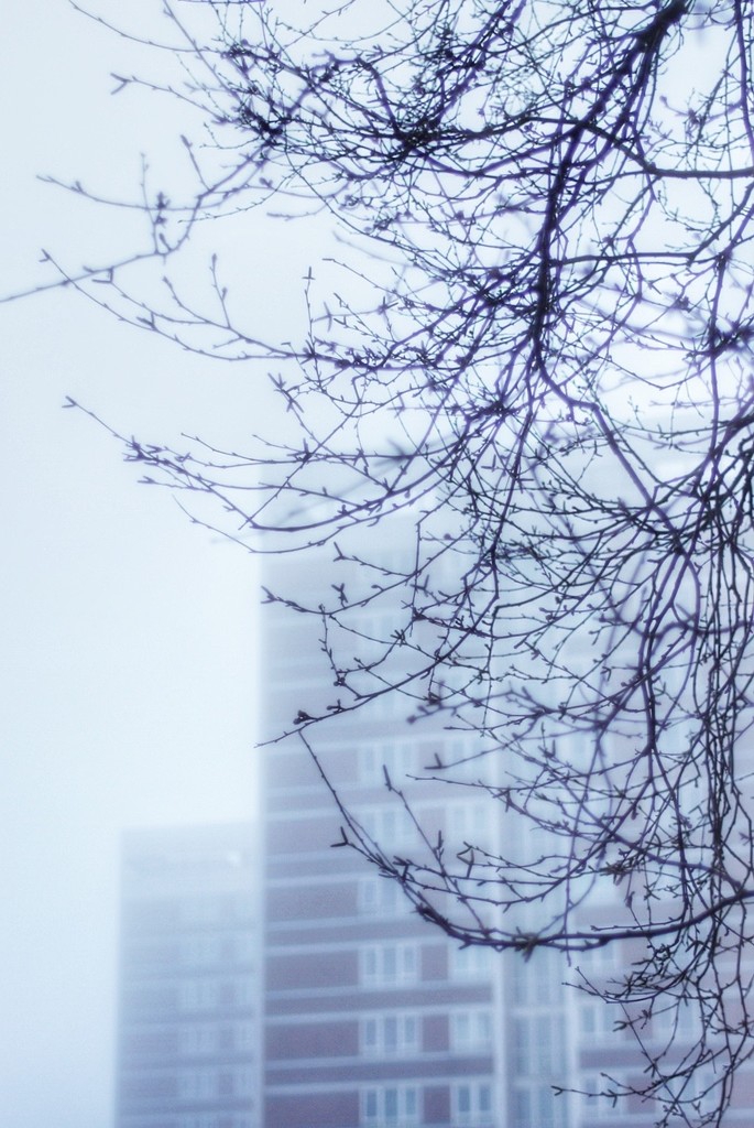 The Fog by bmnorthernlight