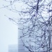 The Fog by bmnorthernlight