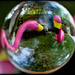 Crystal Ball Flamingos by stray_shooter