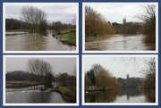 11th Jan 2016 - River at Butron on Trent