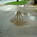 Puddle. by wendyfrost