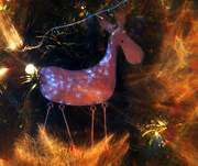 25th Dec 2015 - Funky Rudolf tree decoration