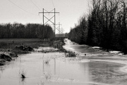 12th Jan 2016 - Power Line, Flooded Ditch
