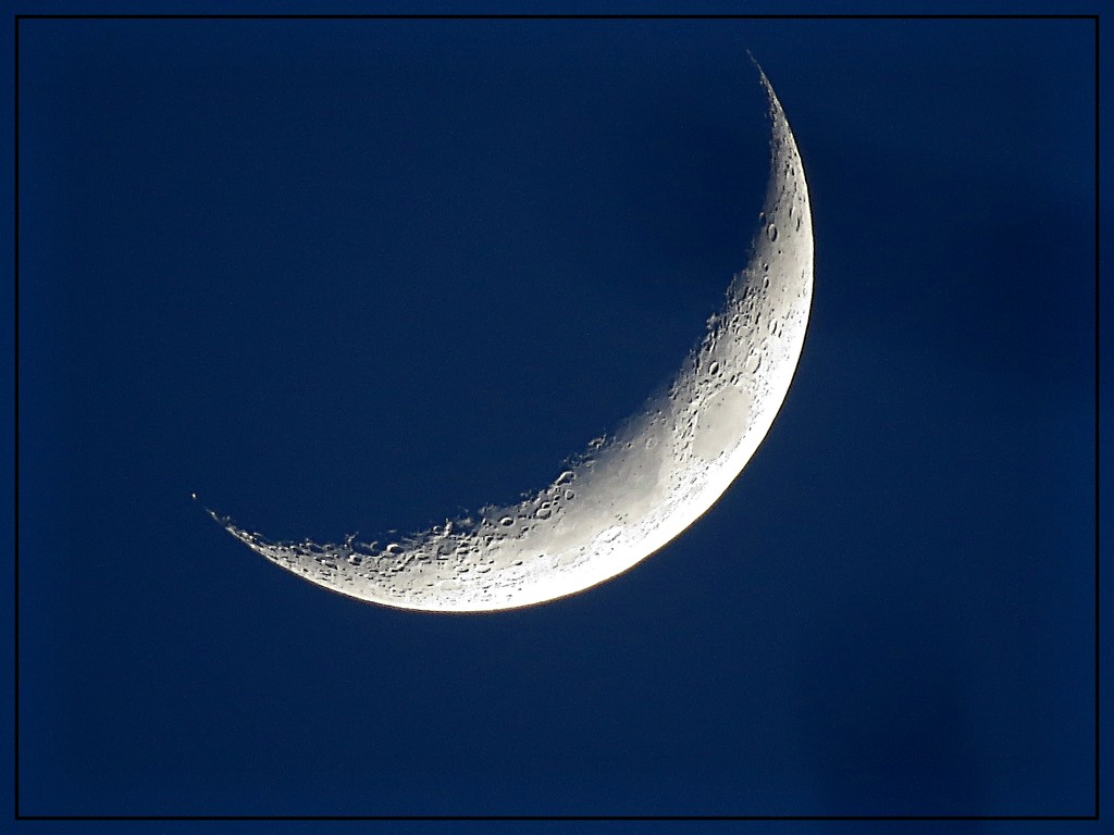 Crescent Moon January 13 by olivetreeann