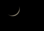 12th Jan 2016 - Crescent Moon