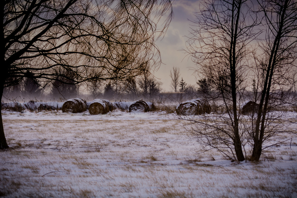 bales of hay on a winter day! by jackies365