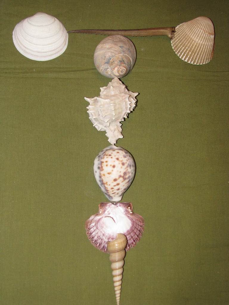 Shells spell Texture by rrt