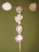 27th Nov 2010 - Shells spell Texture